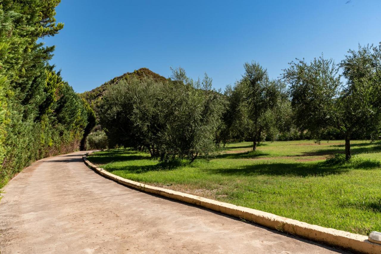 אפרטהוטל זכארו Anilio Plaza מראה חיצוני תמונה